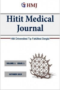 Hitit Medical Journal